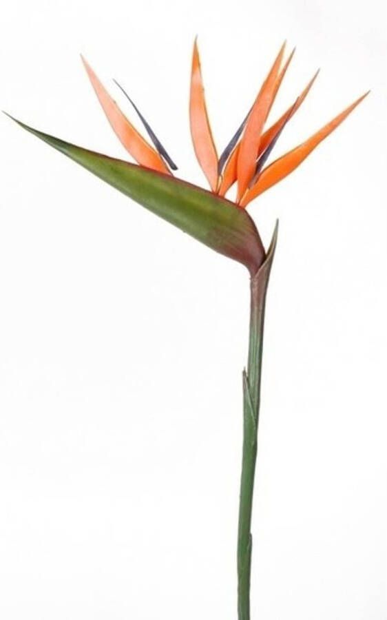 Merkloos Oranje strelitzia paradijsvogelbloem kunstbloem 90 cm Kunstbloemen