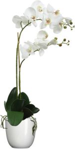 Merkloos Orchidee kunstplant wit 62 cm inclusief bloempot wit glans Kunstplanten