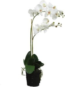 Merkloos Witte Orchideeen kunstplanten planten 62 cm Kunstplanten