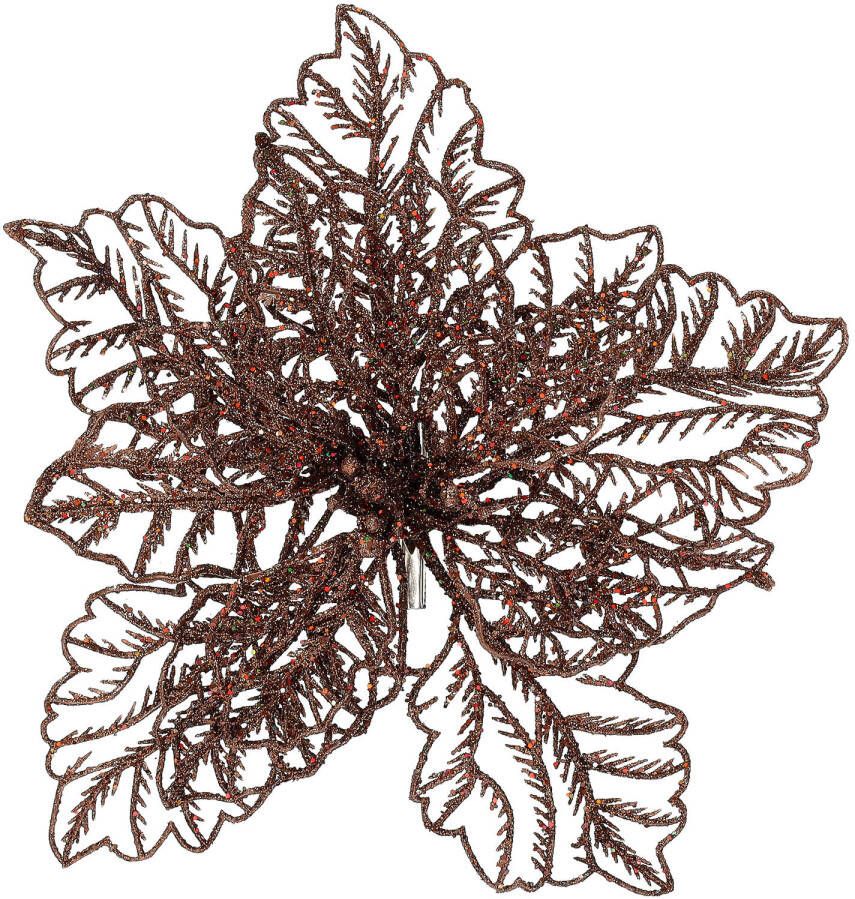 Merkloos Poinsettia op clip bruin