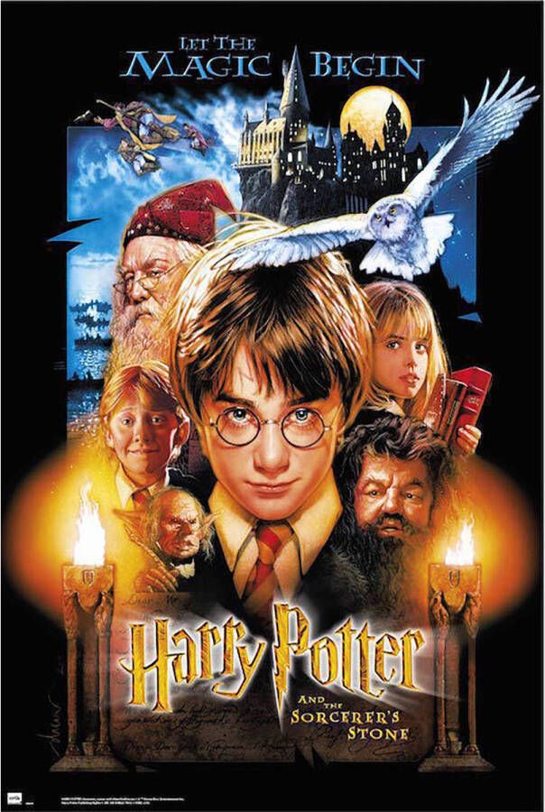 Yourdecoration Grupo Erik Harry Potter and the Sorcerers Stone Poster 61x91 5cm