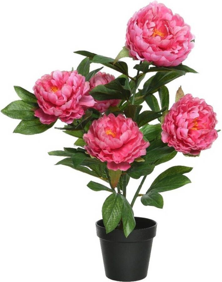 Merkloos Roze Paeonia pioenroos rozenstruik kunstplant 57 cm in zwarte plastic pot Kunstplanten nepplanten Pioenrozen Kunstplanten