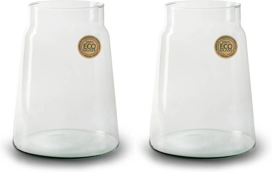 Merkloos Set van 2x stuks bloemenvazen Eco glas transparant H25 x D19 cm Vazen