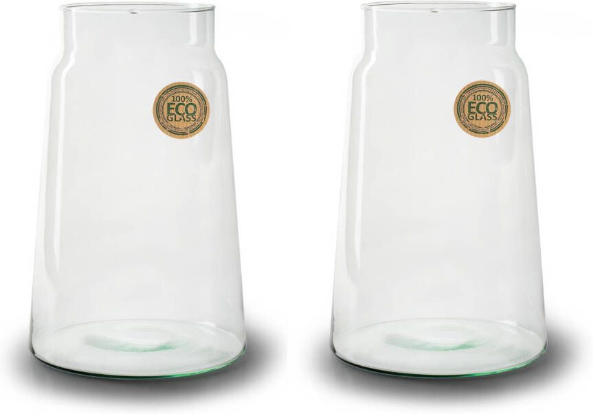 Merkloos Set van 2x stuks bloemenvazen Eco glas transparant H30 x D19 cm Vazen