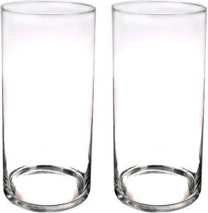 Merkloos Set van 2x stuks glazen cilinder bloemenvazen 60 x 19 cm Transparant Vazen vaas Boeketvazen Vazen