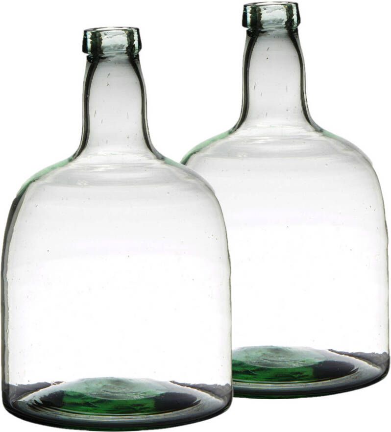 Merkloos Set van 2x stuks flessenhals bloemenvazen van glas 30 x 19 cm Vazen