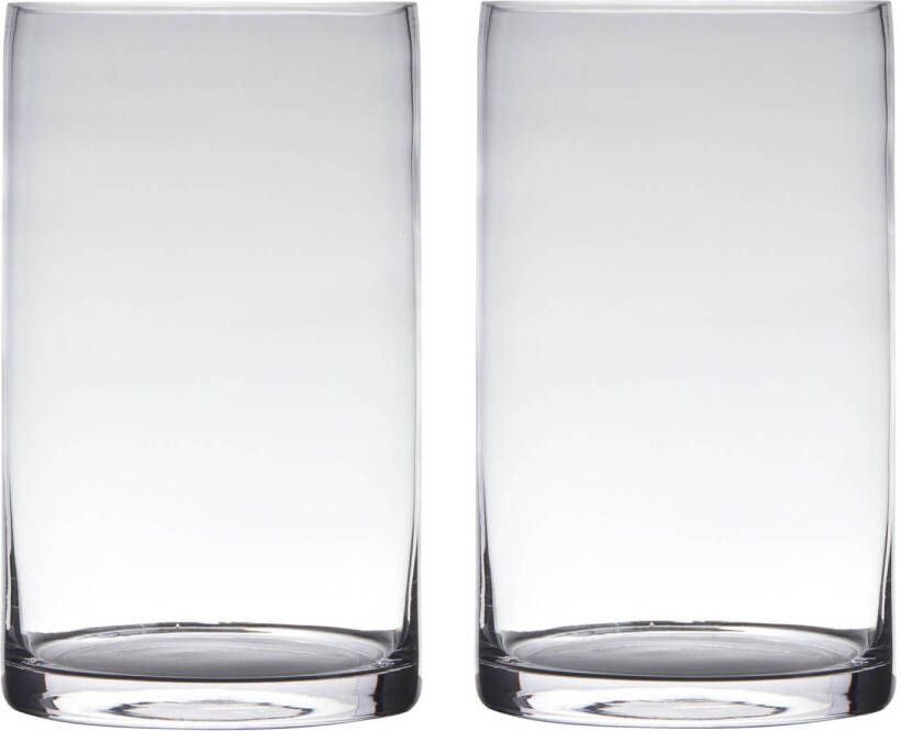 Merkloos Set van 2x stuks glazen bloemen cylinder vaas vazen 30 x 15 cm transparant Vazen