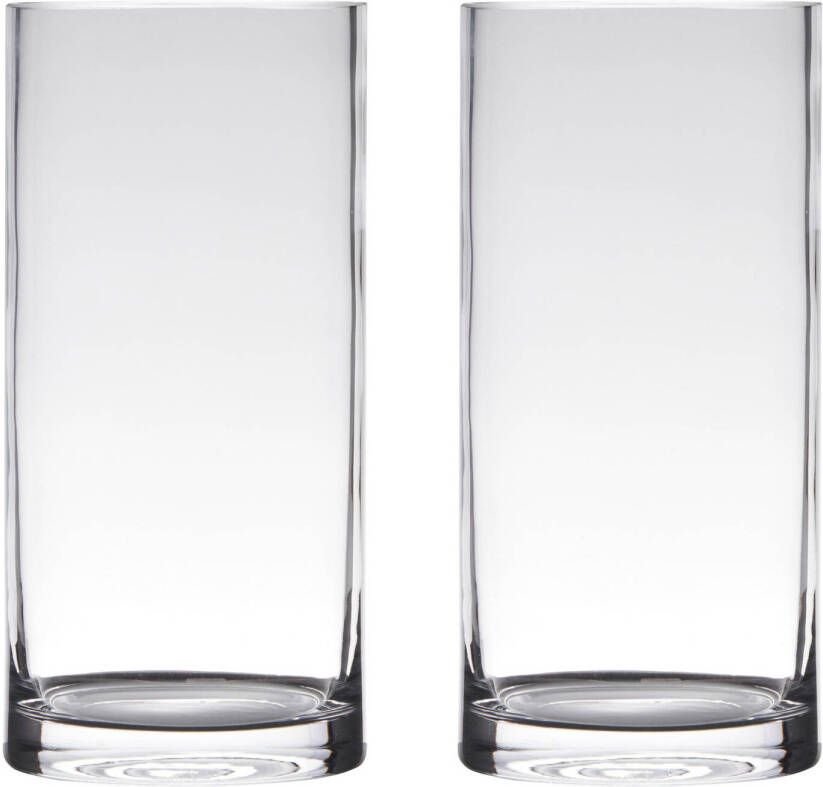 Merkloos Set van 2x stuks glazen bloemen cylinder vaas vazen 35 x 12 cm transparant Vazen
