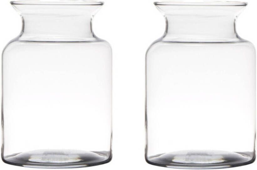 Merkloos Set van 2x stuks transparante home-basics vaas vazen van glas 20 x 14 cm Bloemen takken boeketten vaas voor binnen gebruik Vazen