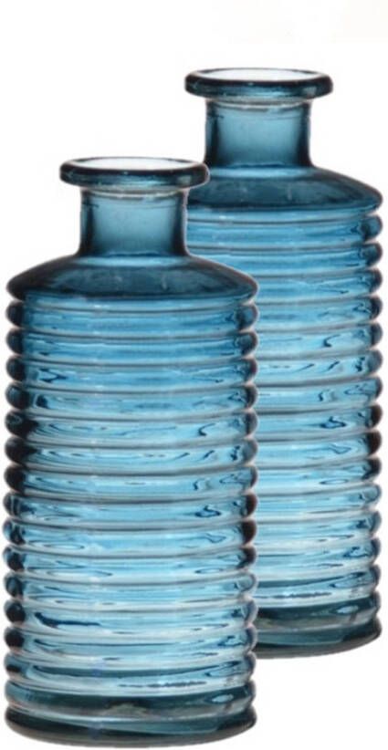 Merkloos Set van 2x stuks glazen stijlvolle bloemenvaas transparant blauw D14.5 en H31 cm Vazen