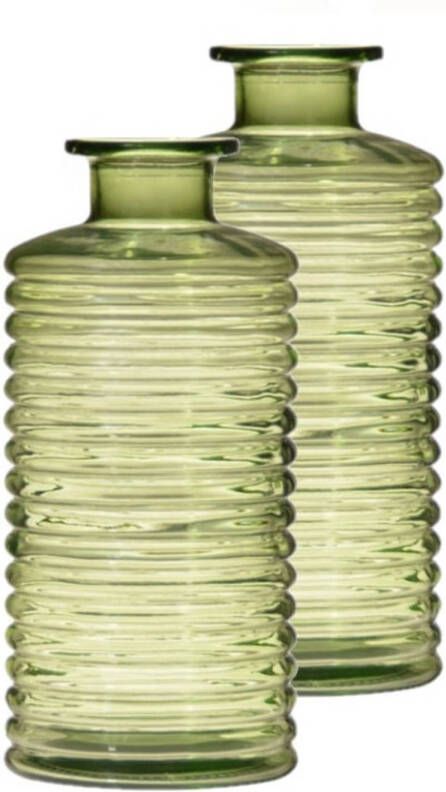 Merkloos Set van 2x stuks glazen stijlvolle bloemenvaas transparant groen D9.5 en H21.5 cm Vazen