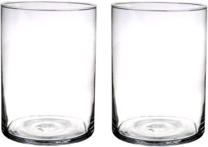 Merkloos Set van 2x stuks glazen cilinder bloemenvazen 25 x 18 cm Transparant Vazen vaas Boeketvazen Vazen