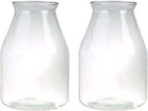 Merkloos Set van 2x stuks glazen vazen transparant 35 x 24 cm Vazen