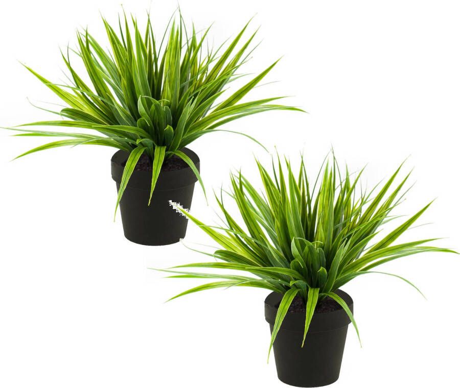 Merkloos Set van 2x stuks gras grasstruik kunstplanten in kunststof pot 33 cm Kunstplanten