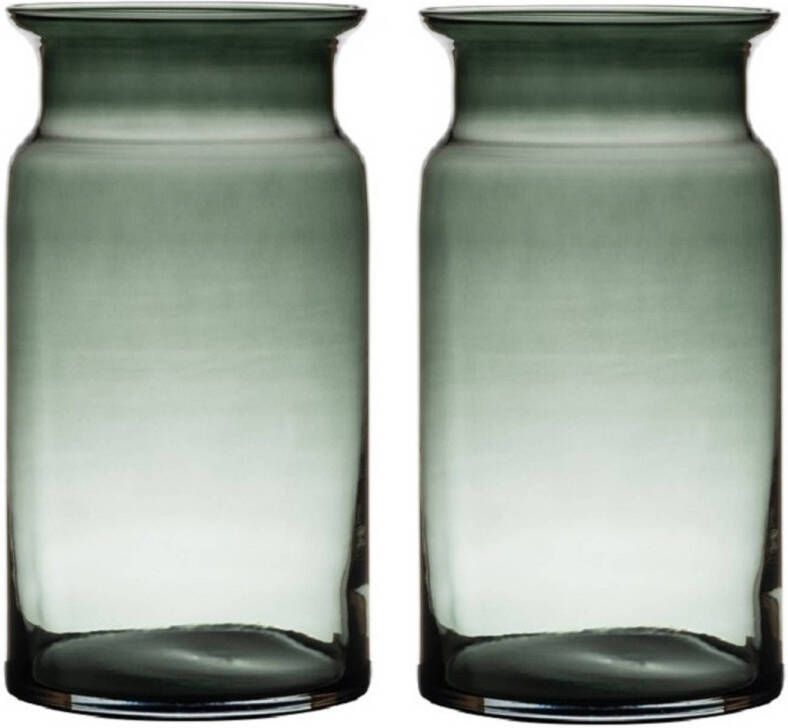 Merkloos Set van 2x stuks grijze transparante stijlvolle melkbus vaas vazen van glas 29 cm Bloemen boeketten vaas voor binnen gebruik Vazen