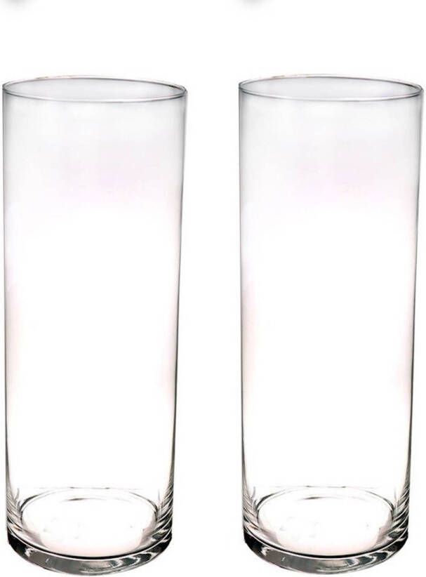 Merkloos Set van 2x stuks hoge glazen vazen transparant 40 x 15 cm Vazen