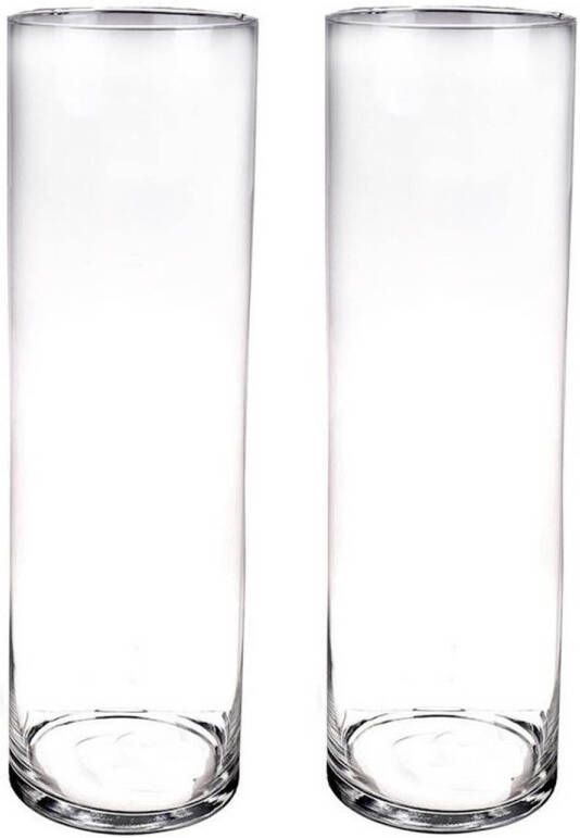 Merkloos Set van 2x stuks hoge glazen vazen transparant 50 x 15 cm Vazen
