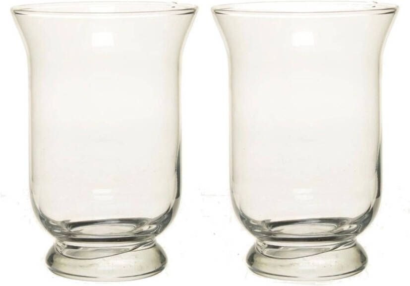 Merkloos Set van 2x stuks kelk vaas vazen van glas 19 5 cm Bloemen of boeketten vazen
