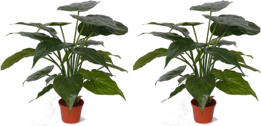 Merkloos Set van 2x stuks kunstplanten alocasia olifantsoor groen 51 cm Kunstplanten