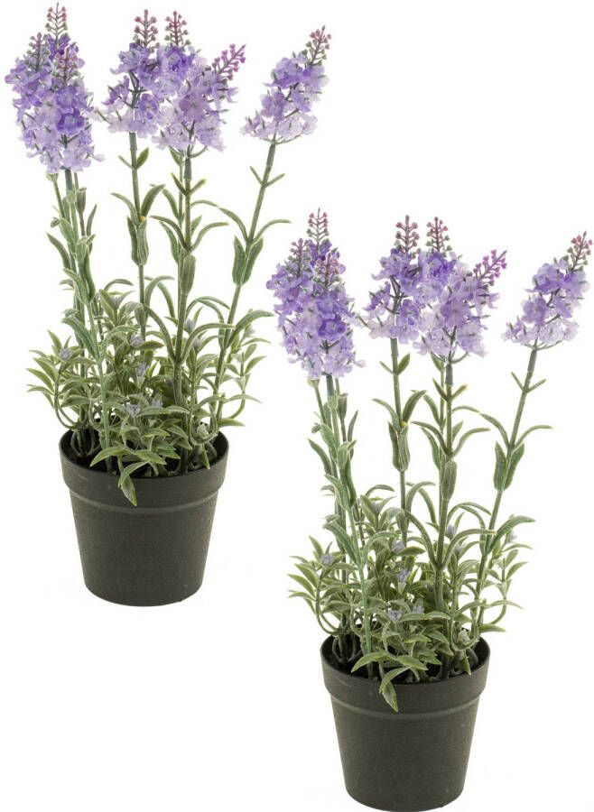 Merkloos Set van 2x stuks lila paarse lavendel Lavandula kunstplanten in kunststof pot 28 cm Kunstplanten