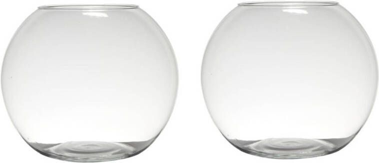 Merkloos Set van 2x stuks luxe bolle ronde bloemenvaas bloemenvazen 28 x 34 cm transparant glas Vazen