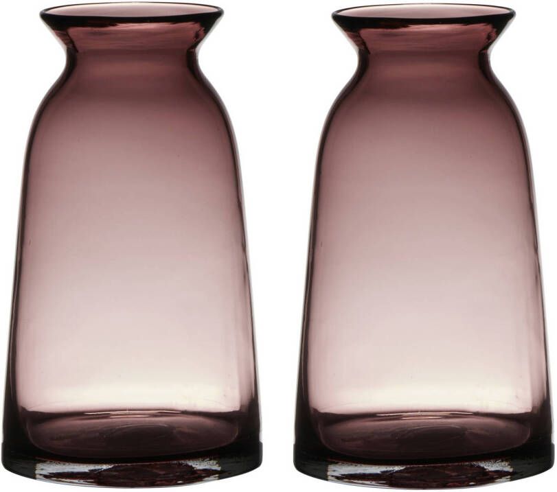 Merkloos Set van 2x stuks paars roze glazen bloemen vaas vazen 23.5 x 12.5 cm transparant Vazen