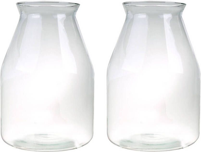 Merkloos Set van 2x stuks ronde vazen van glas 35 x 24 cm Vazen