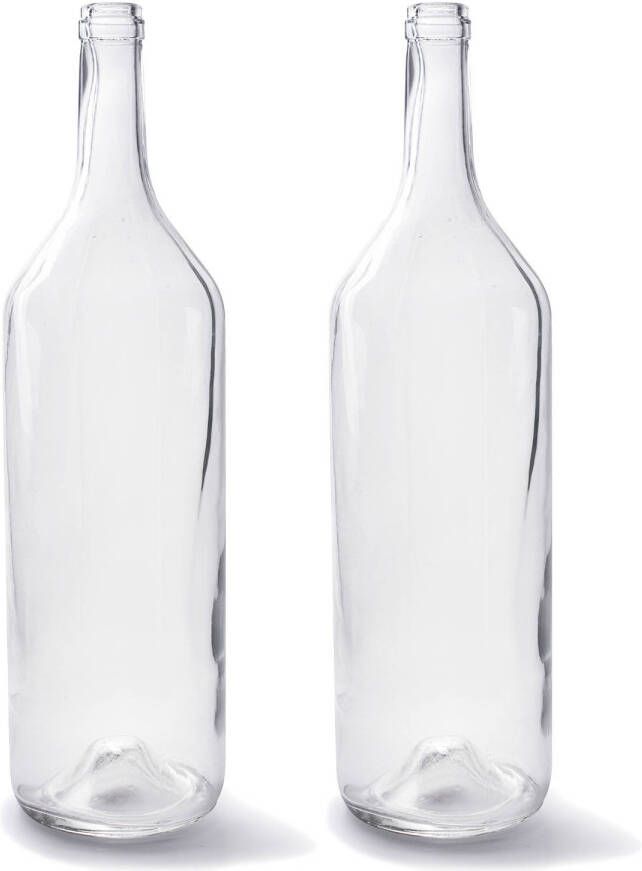Merkloos Set van 2x stuks transparante fles vaas vazen van glas 14 x 53 cm Woonaccessoires woondecoraties Glazen bloemenvaas Flesvaas flesvazen Vazen