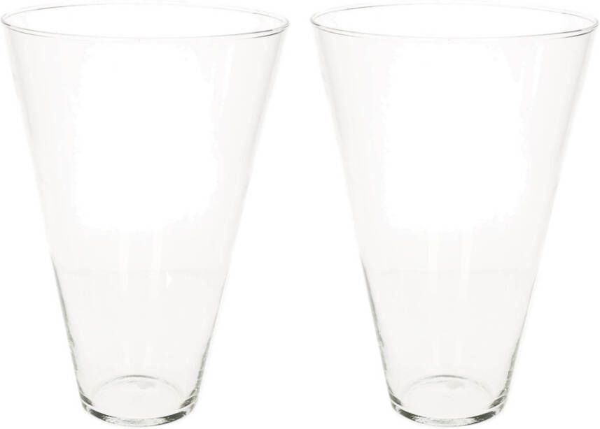 Merkloos Set van 2x stuks transparante home-basics conische vaas vazen van glas 30 x 19 cm Vazen