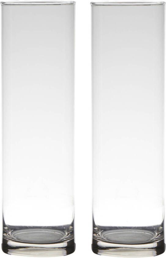 Merkloos Set van 2x stuks transparante home-basics Cylinder vaas vazen van glas 30 x 9 cm Bloemen takken boeketten vaas voor binnen gebruik Vazen