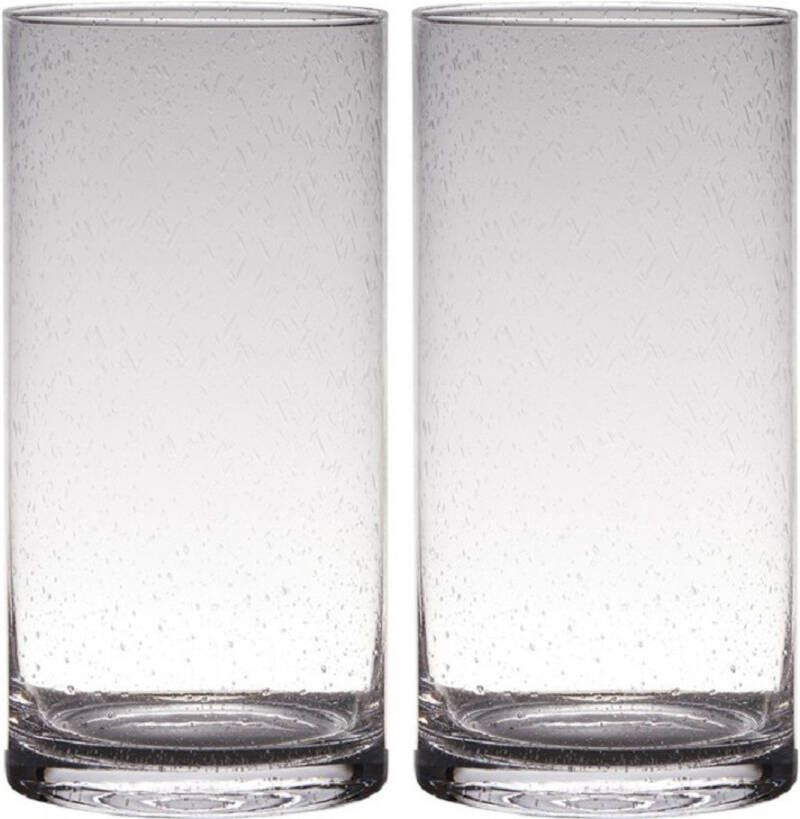 Merkloos Set van 2x stuks transparante home-basics cylinder vorm vaas vazen van bubbel glas 30 x 15 cm Vazen