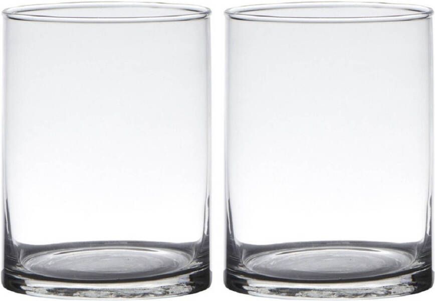 Merkloos Set van 2x stuks transparante home-basics cylinder vorm vaas vazen van glas 20 x 12 cm Vazen