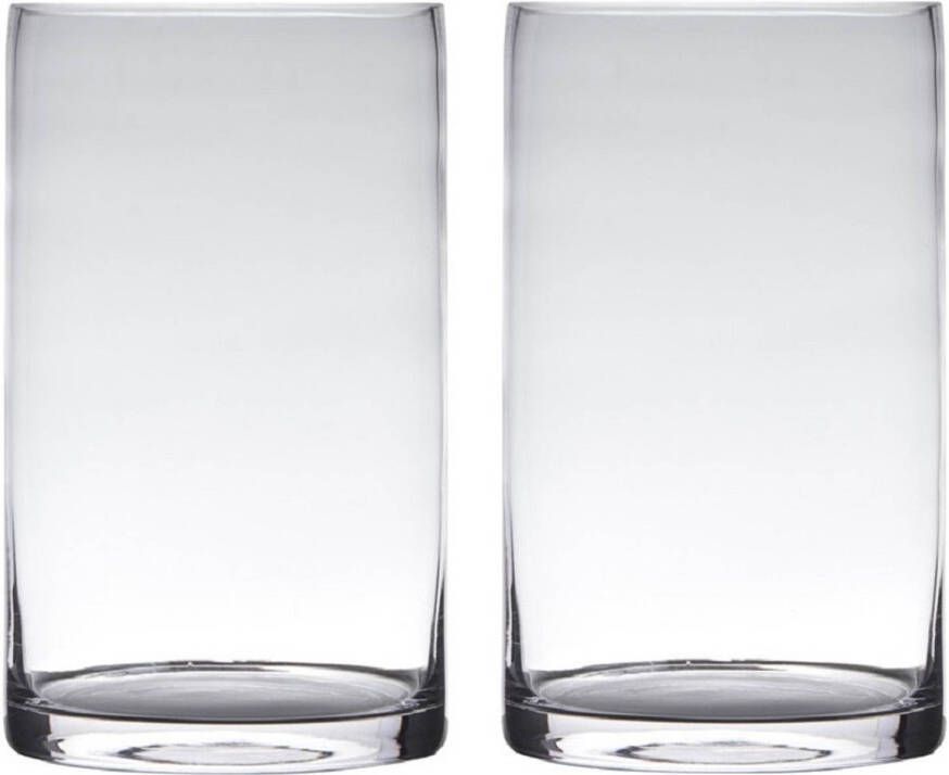 Merkloos Set van 2x stuks transparante home-basics cylinder vorm vaas vazen van glas 20 x 15 cm Vazen