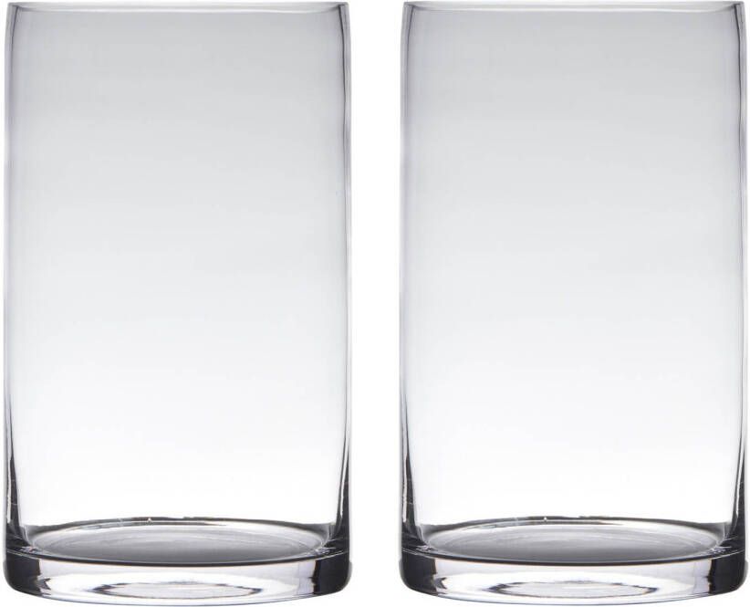 Merkloos Set van 2x stuks transparante home-basics cylinder vorm vaas vazen van glas 25 x 15 cm Vazen