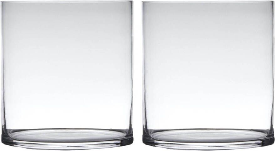 Merkloos Set van 2x stuks transparante home-basics cylinder vorm vaas vazen van glas 30 x 25 cm Vazen