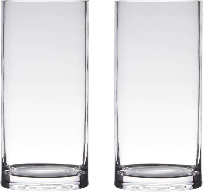 Merkloos Set van 2x stuks transparante home-basics cylinder vorm vaas vazen van glas 35 x 15 cm Vazen