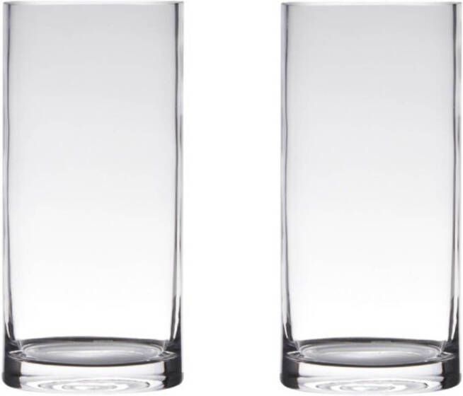 Merkloos Set van 2x stuks transparante home-basics cylinder vorm vaas vazen van glas 40 x 12 cm Vazen