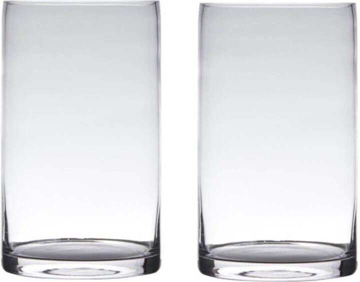 Merkloos Set van 2x stuks transparante home-basics cylinder vorm vaas vazen van glas 40 x 15 cm Vazen