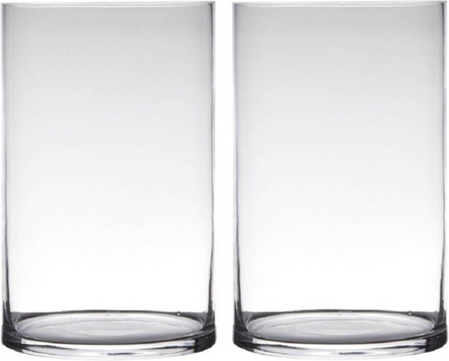 Merkloos Set van 2x stuks transparante home-basics cylinder vorm vaas vazen van glas 40 x 19 cm Vazen