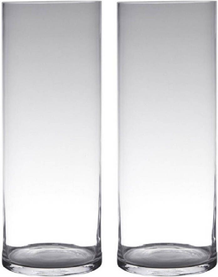 Merkloos Set van 2x stuks transparante home-basics cylinder vorm vaas vazen van glas 50 x 19 cm Vazen