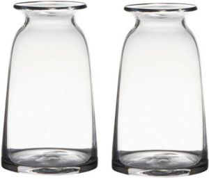 Merkloos Set van 2x stuks transparante home-basics vaas vazen van glas 23.5 x 12.5 cm Bloemen takken boeketten vaas voor binnen gebruik Vazen