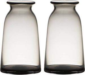 Merkloos Set van 2x stuks transparante home-basics grijze vaas vazen van glas 23.5 x 12.5 cm Bloemen takken boeketten vaas voor binnen gebruik Vazen