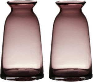 Merkloos Set van 2x stuks transparante home-basics paars roze vaas vazen van glas 23.5 x 12.5 cm Bloemen takken boeketten vaas Vazen