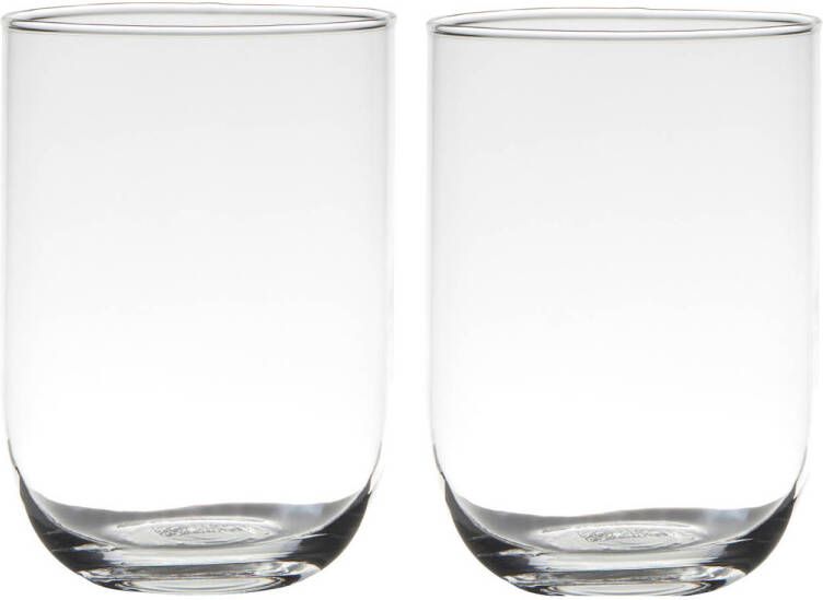 Merkloos Set van 2x stuks transparante home-basics vaas vazen van glas 20 x 14 cm Bloemen takken boeketten vaas voor binnen gebruik Vazen