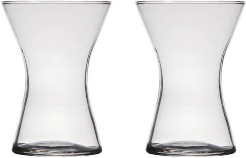 Merkloos Set van 2x stuks transparante home-basics vaas vazen van glas 20 x 14 cm Vazen