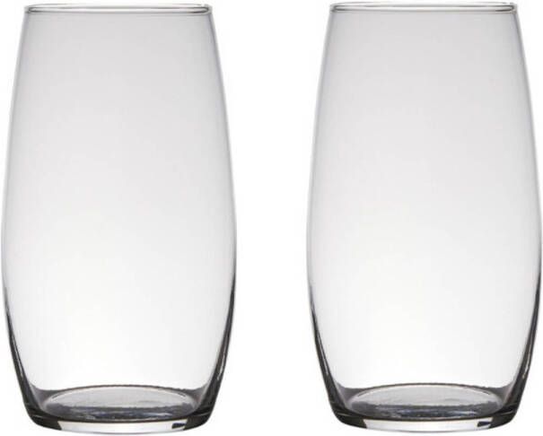 Merkloos Set van 2x stuks transparante home-basics vaas vazen van glas 25 x 14 cm Vazen
