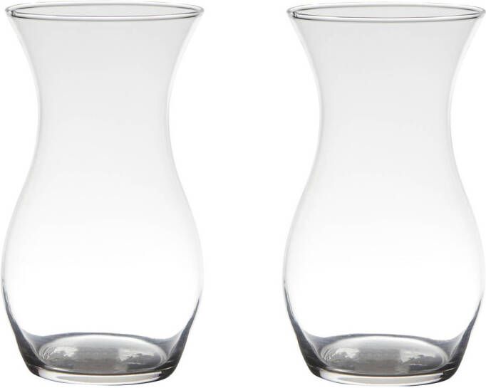 Merkloos Set van 2x stuks transparante home-basics vaas vazen van glas 25 x 14 cm Vazen