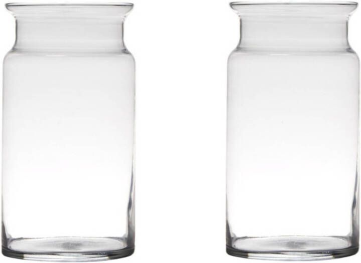 Merkloos Set van 2x stuks transparante home-basics melkbus vaas vazen van glas 29 x 15 cm Bloemen takken boeketten vaas voor binnen gebruik Vazen