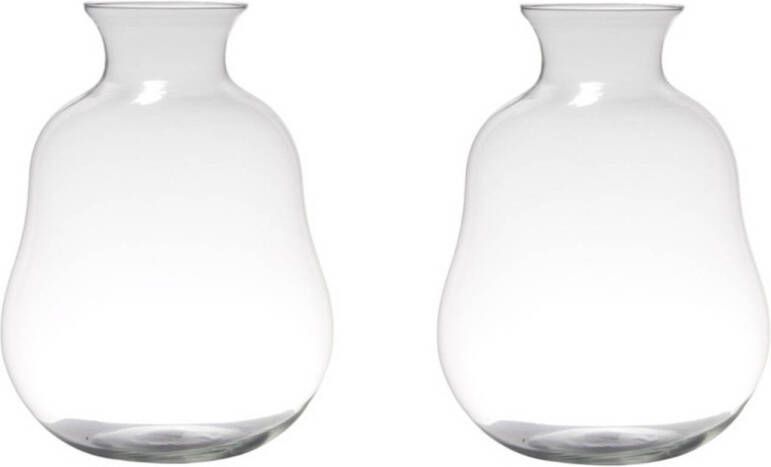 Merkloos Set van 2x stuks transparante home-basics vaas vazen van glas 40 x 29 cm Bloemen takken boeketten vaas voor binnen gebruik Vazen