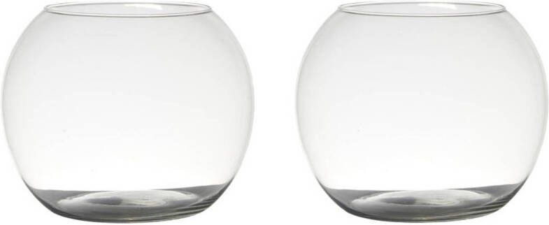 Merkloos Set van 2x stuks transparante ronde bol vissenkom vaas vazen van glas 20 x 25 cm Bloemen boeketten vaas voor binnen gebruik Vazen